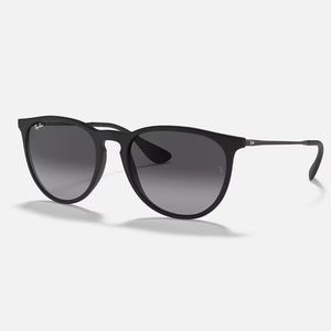 Ray-Ban Erika Classic Sunglasses